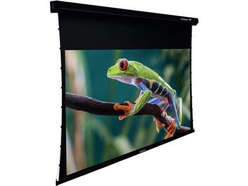 Écran de projection motorisé Lumene Coliseum UHD 4K/8K PLATINUM 350C déployé affichant une grenouille verte et bleue sur une branche