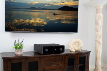 Télévision murale avec paysage, meuble en bois, amplificateur noir, plante en pot, coquillage décoratif, lampe sculptée