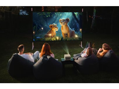 Image animée de deux lionceaux de dessin animé assis dans l'herbe, regardant vers le haut, avec des personnes assises derrière eux regardant un écran de projection