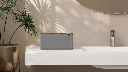 Altavoz rectangular gris en estante blanco, planta verde con hojas puntiagudas, pared beige texturizada con sombras de hojas