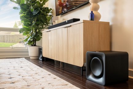 Meuble en bois clair, caisson de basse noir, plante verte dans un pot blanc, fenêtre avec vue extérieure, tapis beige au sol