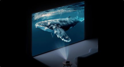 Une baleine projetée sur un écran géant, vue latérale, avec un projecteur lumineux posé sur une table dans une pièce sombre