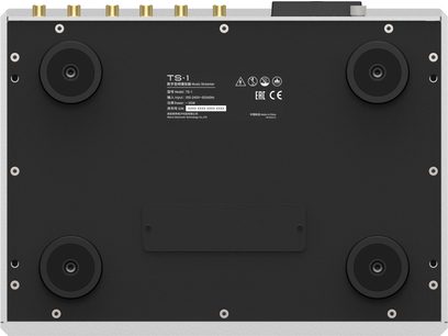 Matrix Audio TS-1 võrgumängija altvaade: hõbedasest alumiiniumist ristkülikukujuline šassii, mattmust alumine plaat nelja ümmarguse jalaga, perimeetril kruvid ja keskel silt, ülemisel serval kuldsete kontaktidega RCA-pistikud.