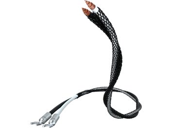 Câble noir tressé avec deux fiches bananes cuivrées aux extrémités, formant une boucle en S