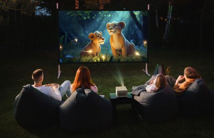 Deux lionceaux animés assis dans l'herbe regardant un écran projetant une image de deux lions adultes dans une forêt la nuit