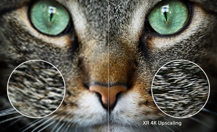 Gros plan d'un visage de chat avec yeux verts, museau au centre, comparaison de texture de poils à gauche et à droite