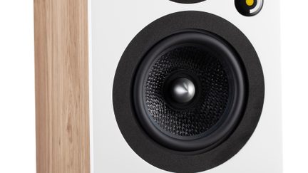 Vue rapprochée d'un haut-parleur circulaire noir avec membrane texturée, bord en mousse noire, panneau blanc et côté en bois clair