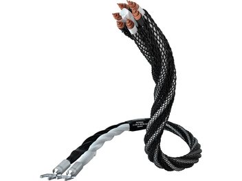 Câble noir et blanc torsadé avec connecteurs métalliques, formant une boucle verticale sur fond blanc