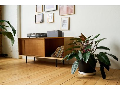 Klipsch The Three Plus nogal