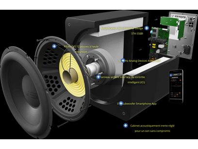 SVS SB-2000 Pro black ash subwoofer, annotated exploded view of internal components, 12-inch driver