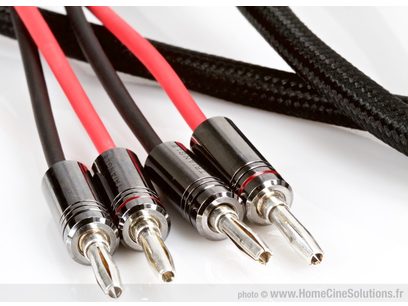 Quatre connecteurs RCA mâles noirs et rouges au bout de câbles noirs tressés