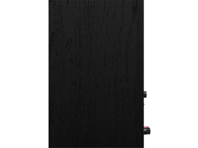Klipsch R-40PM