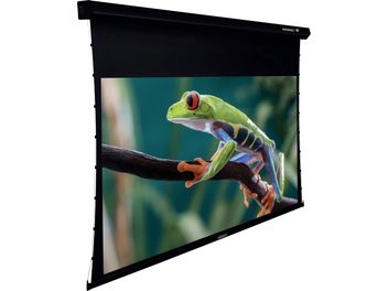 Écran de projection motorisé noir déployé affichant en gros plan une grenouille verte et bleue agrippée à une branche