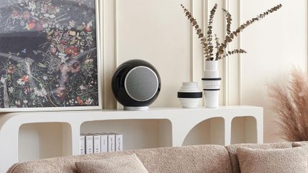 Vue de face d’une enceinte audio sphérique noire laquée, grille circulaire gris métal cerclée d’un anneau argenté, posée sur une étagère blanche