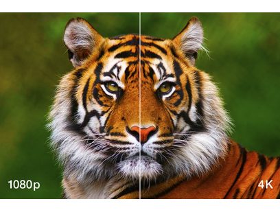 Tigre, vue rapprochée de face, pelage orange rayé de noir, yeux verts perçants, oreilles pointues, museau blanc