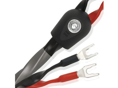 Câble audio Wireworld Equinox 8 HP noir et rouge, connecteurs à fourche, gros plan sur une extrémité
