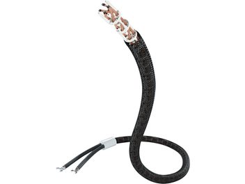 Câble noir tressé courbé avec connecteurs bananes plaqués or aux extrémités, sur fond blanc