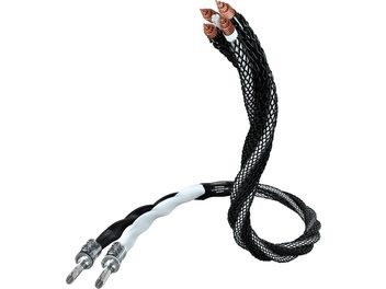 Câble noir tressé avec connecteurs bananes plaqués or, séparé en deux à une extrémité, sur fond blanc