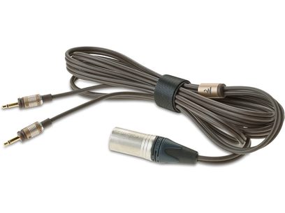 Câble audio noir avec connecteurs RCA dorés et câble gris avec connecteur jack 6,35 mm, enroulés